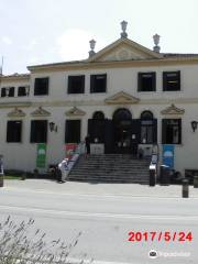 City Library VEZ Mestre