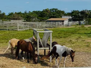 Pony Pen