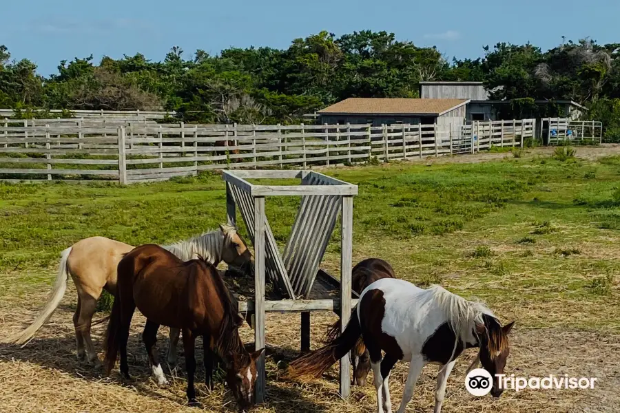 Pony Pen