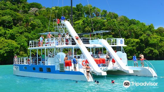 Planet Dolphin Catamaran Manuel Antonio