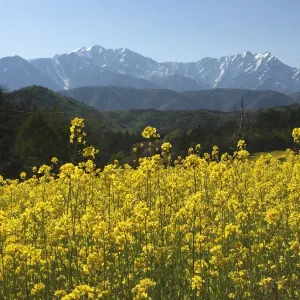 中山高原
