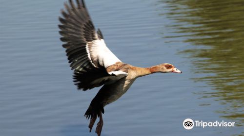 Austin Roberts Bird Sanctuary