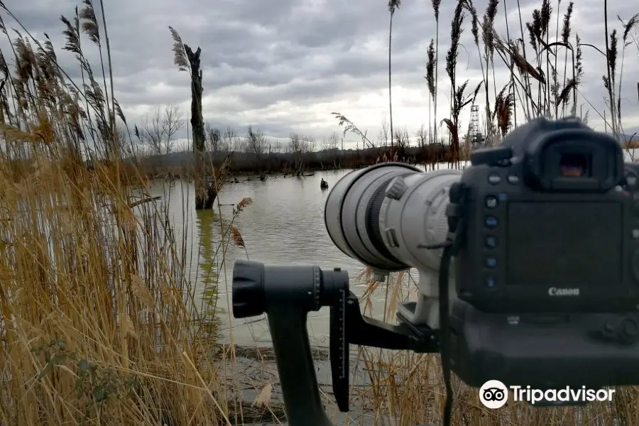 Riserva Naturale Lago di Montepulciano