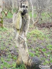 Monkstown Wood