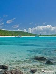 Culebra Snorkeling and Dive Center