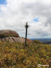 Mount Lindesay Walk Trail