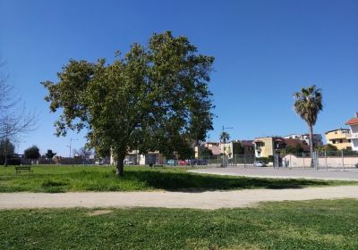 Parco Urbano Camaldoli Sud