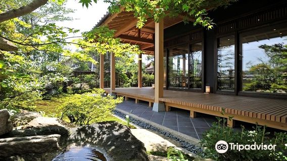 Matcha Museum Saijoen Wakuwaku