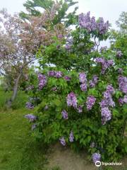 Lilac no Mori