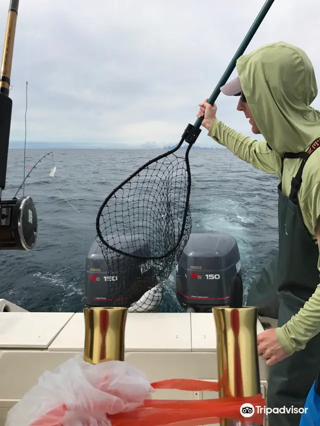 Sea Angling in Chicago