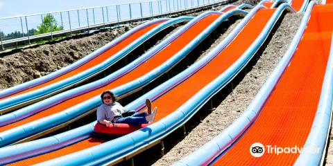 Rushmore Tramway Adventures