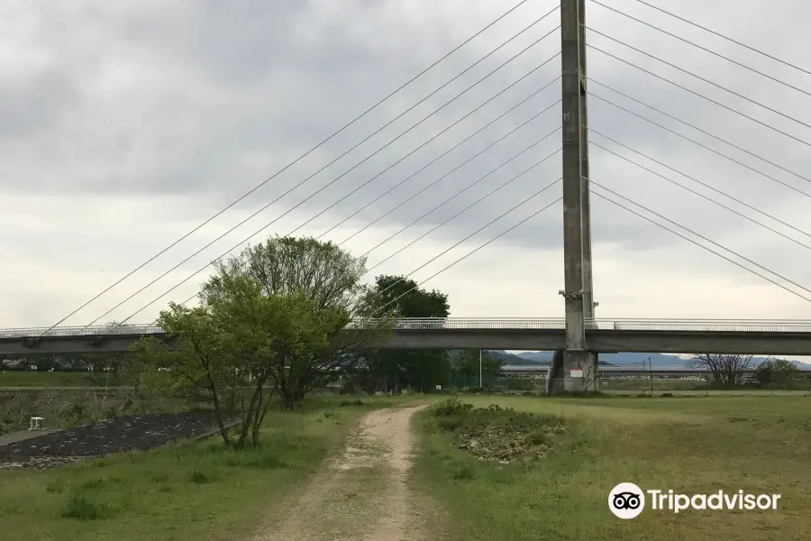 石川河川公園