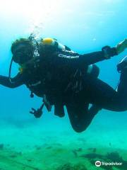 Palm Beach Divers Aruba