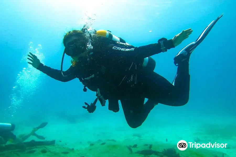 Palm Beach Divers Aruba