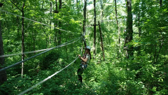 Skypark Parco Avventura