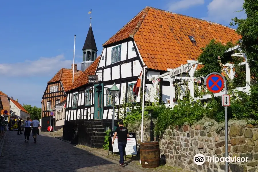 Det Gamle Radhus samt Siamesisk Samling