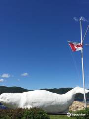 Site recreopatrimonial de la riviere Petit-Saguenay