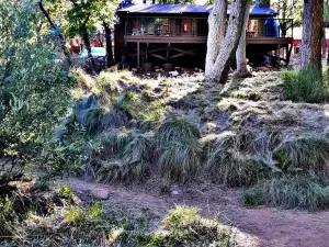 Horton Creek Trailhead