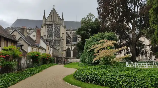 Hotels near Museum of Fine Arts and Archeology