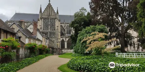 美術與考古博物館