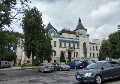 Могилёвский областной художественный музей имени П.В. Масленикова