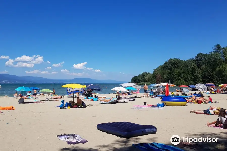 Plage des Pins