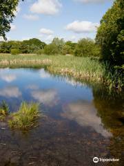 Havannah & Three Hills Nature Reserve - Three Hills Visitor Carpark