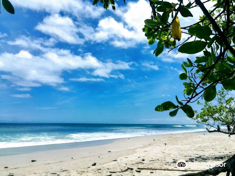 Puerto Jimenez to Cobano Flights