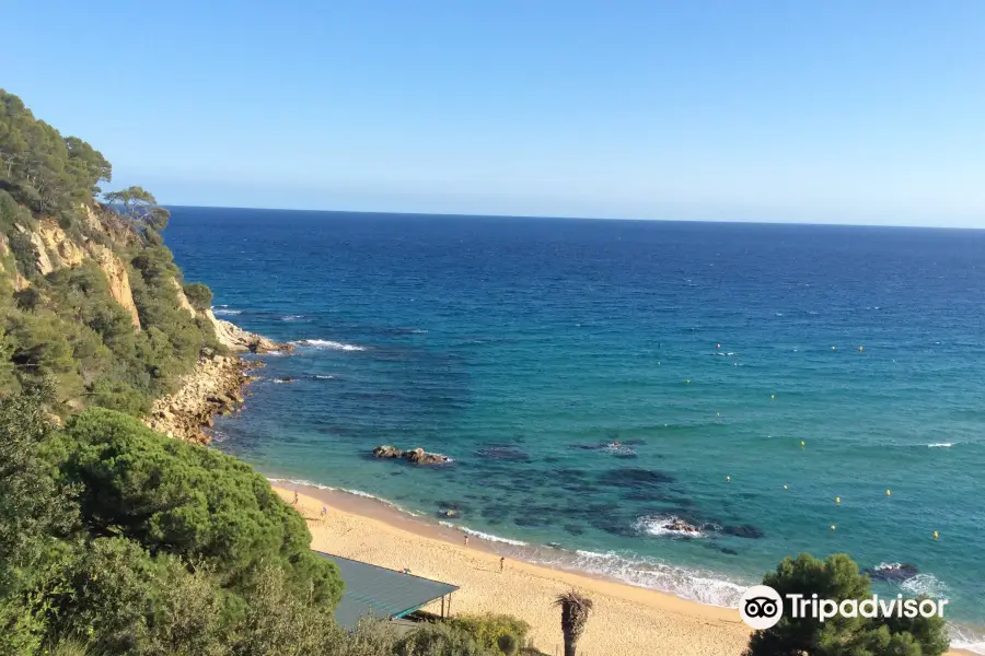 Playa de Santa Cristina