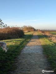 Ring's End Local Nature Reserve