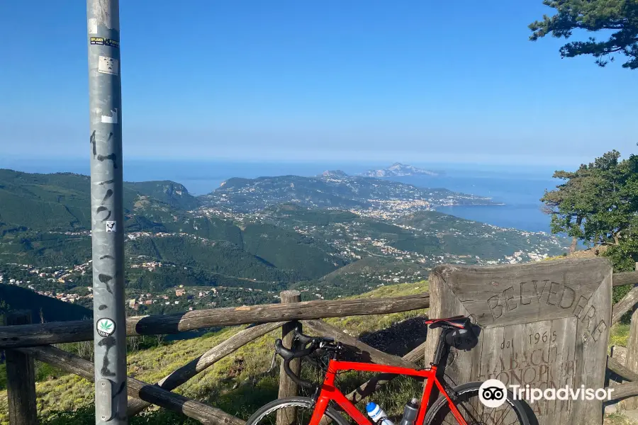 Sorrento Bike