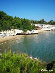 Spiaggia dei Colombi