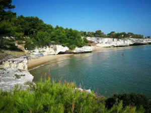 Spiaggia dei Colombi