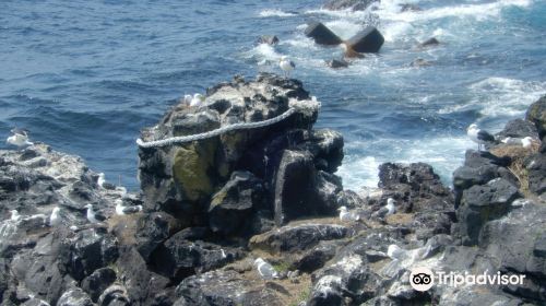 Face on Rocks