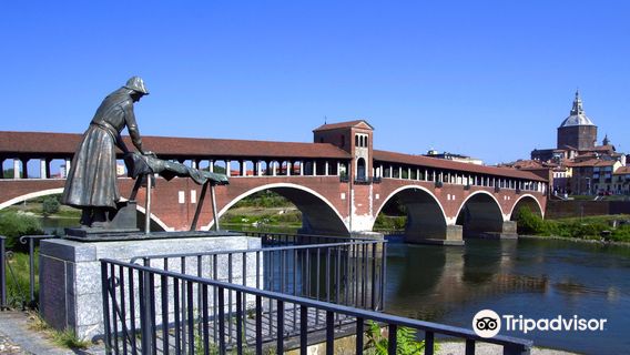 Province of Pavia