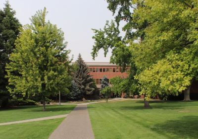 Whitman College