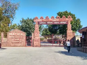 Machia Biological Park Jodhpur