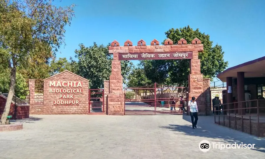 Machia Biological Park Jodhpur