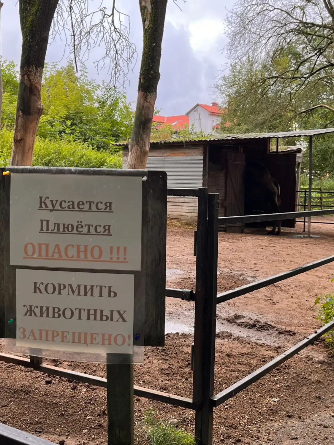 Hotels in der Nähe von Viciebsk Zoo