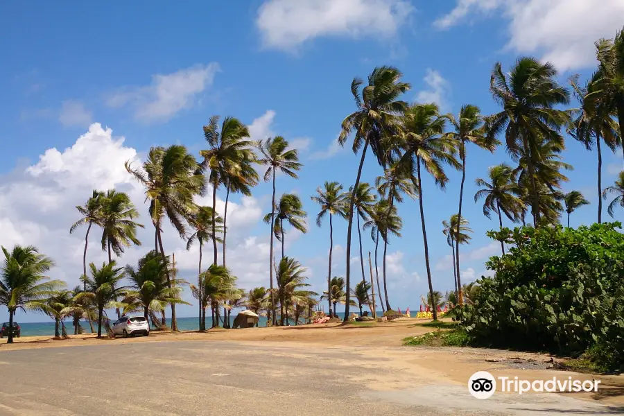 Praia Busca Vida