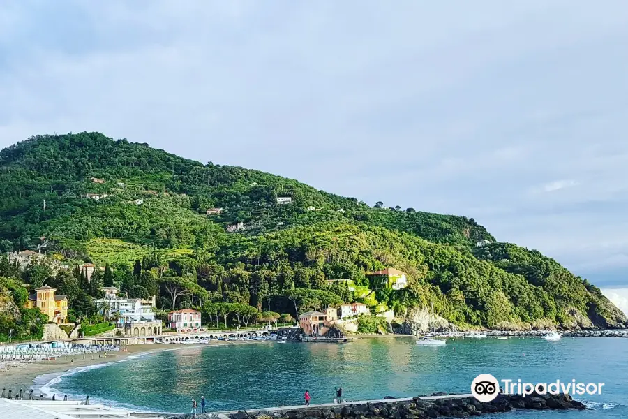 Levanto Beach