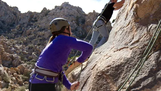 The Climbing Life Guides