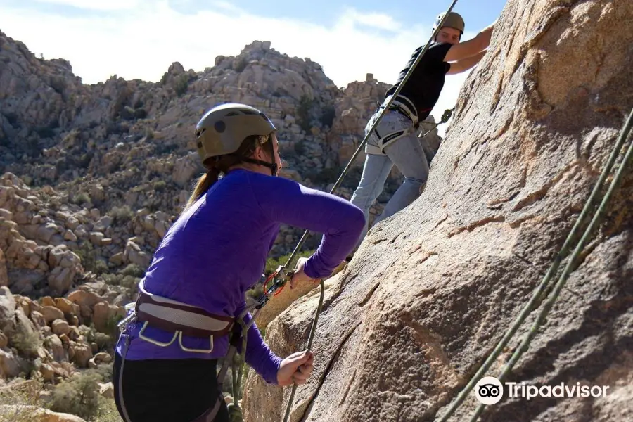 The Climbing Life Guides