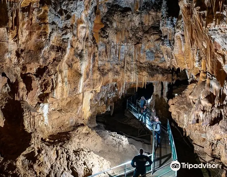 Grotte de Foissac