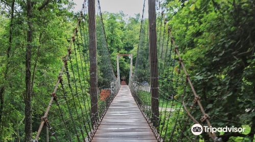 Khao Kradong Forest Park