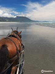 Golden Sands Horse And Wagon Tours