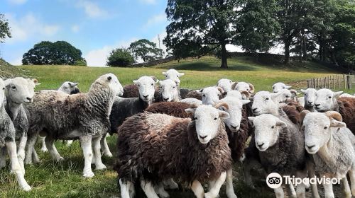 Lakeland Farm Visitor Centre