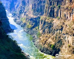 香港-利文斯通 機票酒店 自由行