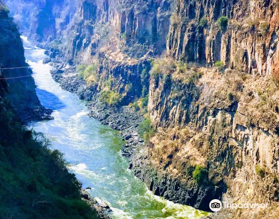 利文斯通 自由行套票