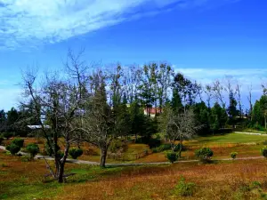 The Khirsu Park